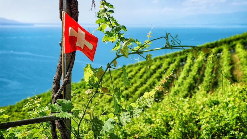 Weinbaugebiet Schweiz